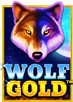 รีวิวการสมัคร เว็บ บอล ที่คุณไม่ควรพลาดในปีนี้